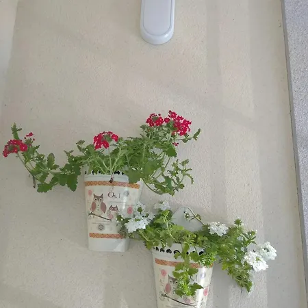 Apartamento Cozy In Orense Of 45 M² With Parking *