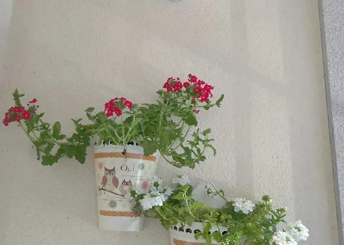 Διαμέρισμα Cozy In Orense Of 45 M² With Parking *