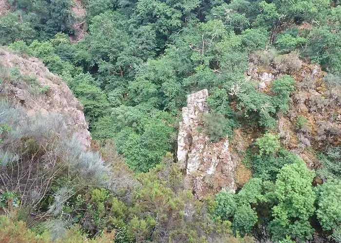 Cozy In Orense Of 45 M² With Parking